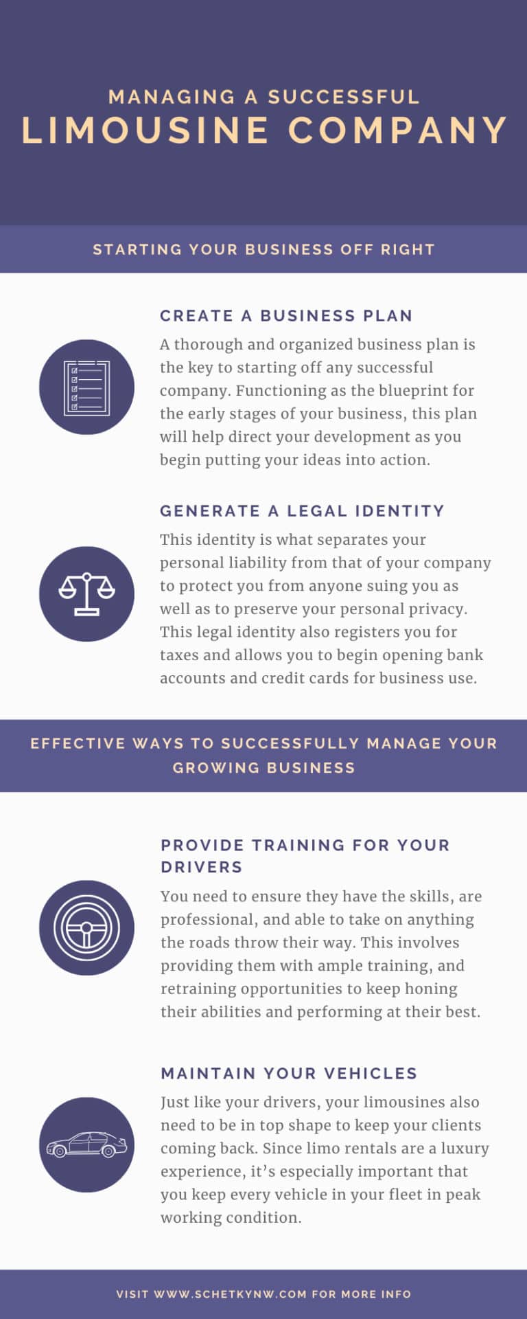 Managing a Successful Limousine Company infographic