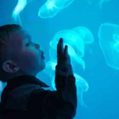 Fun Field Trip Ideas for Daycare Students